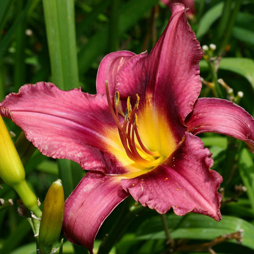 Hd-139443-ascw139443