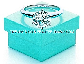 [Tiffany--Co.-Engagement-Ring-4.jpg]