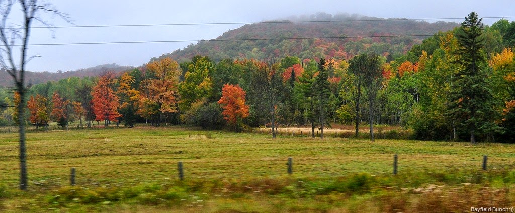 [DSC_00025.jpg]