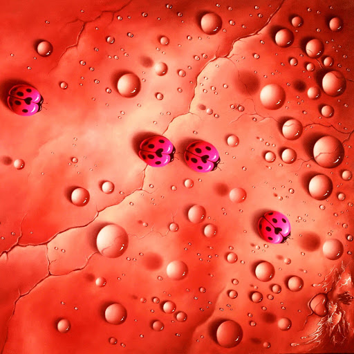 Hd-131030-ascw131030