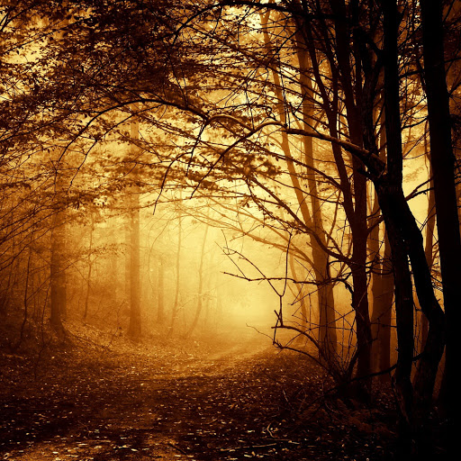 Hd-131033-ascw131033