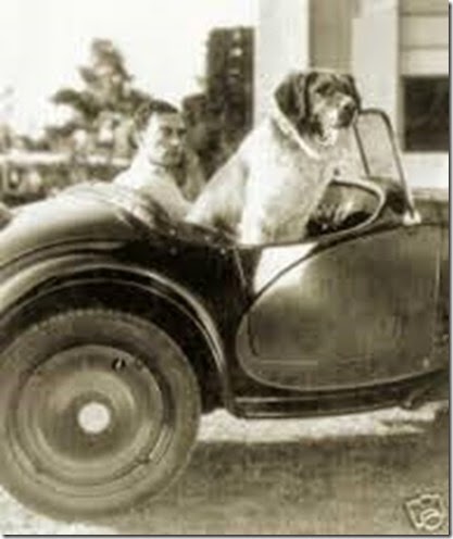 Buster_Keaton___dog_72_dpi
