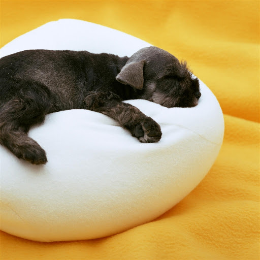 Hd-147732-ascw147732