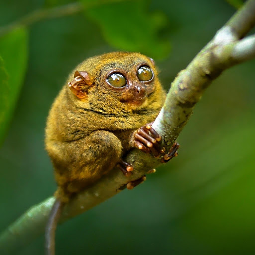 Hd-176569-ascw176569