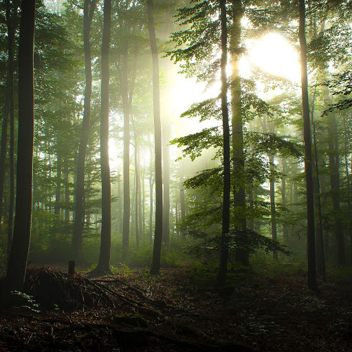 Hd-136381-ascw136381