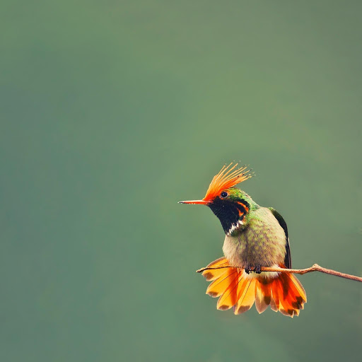 Hd-171638-ascw171638