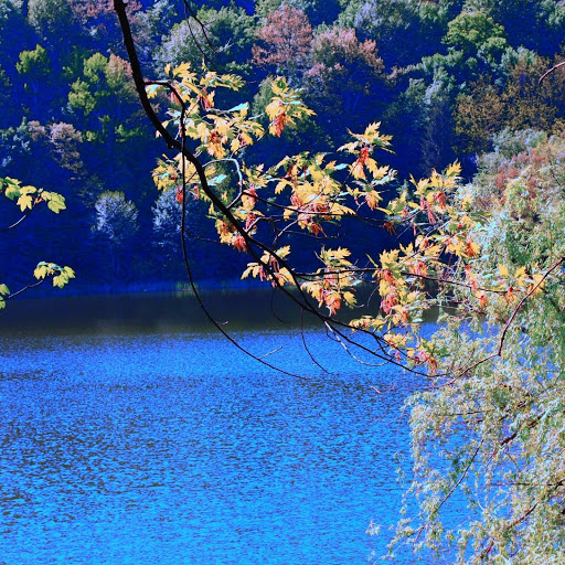 Hd-131461-ascw131461