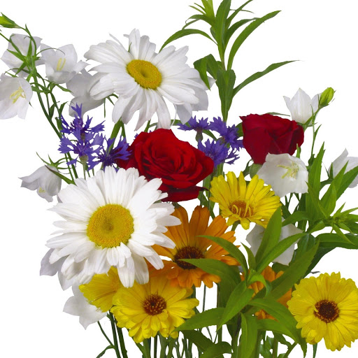 Hd-149267-ascw149267