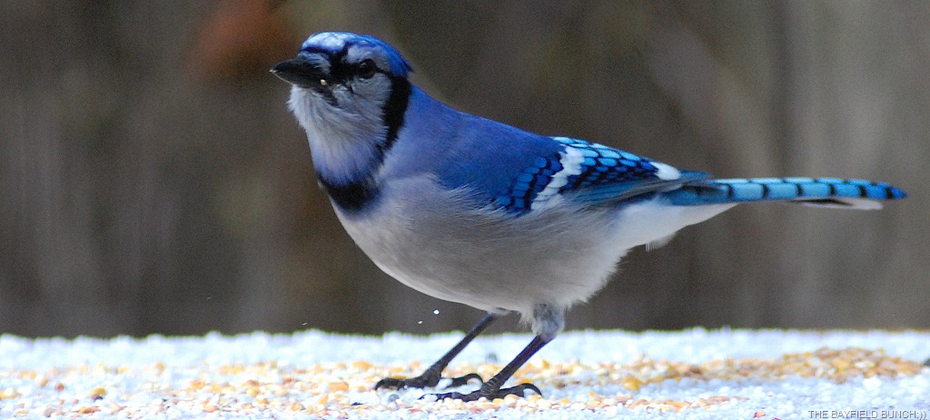 [DSC_9227%255B4%255D.jpg]