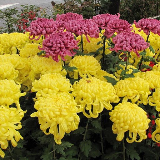 Hd-148236-ascw148236