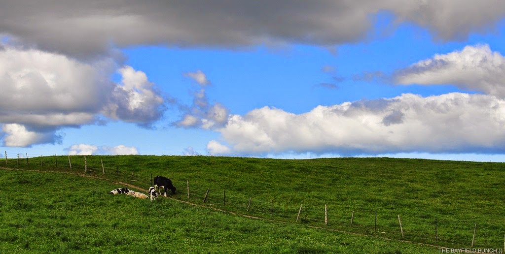 [DSC_0006-001%255B4%255D.jpg]