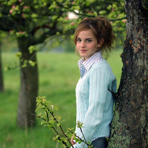 Hd-167310-ascw167310