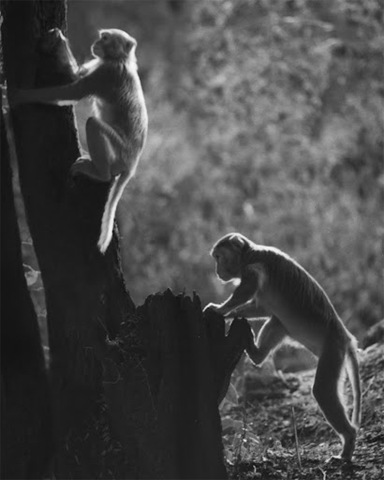 [clip_image012%255B2%255D.jpg]