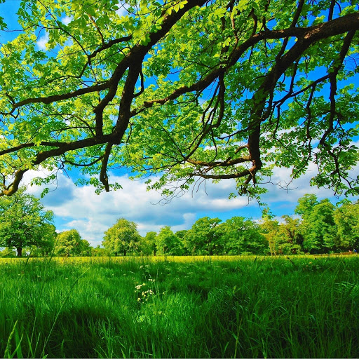 Hd-147626-ascw147626