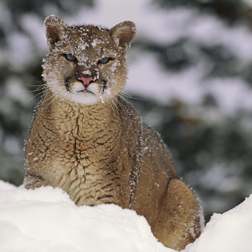 Hd-177647-ascw177647