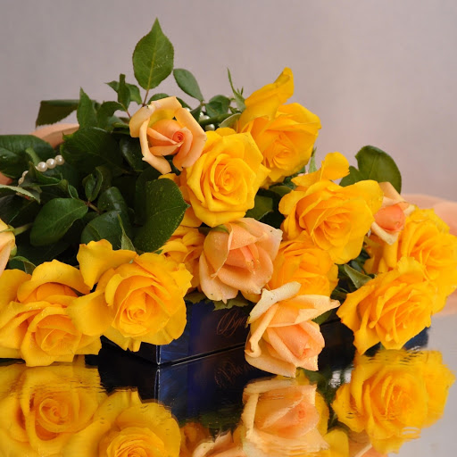 Hd-174495-ascw174495