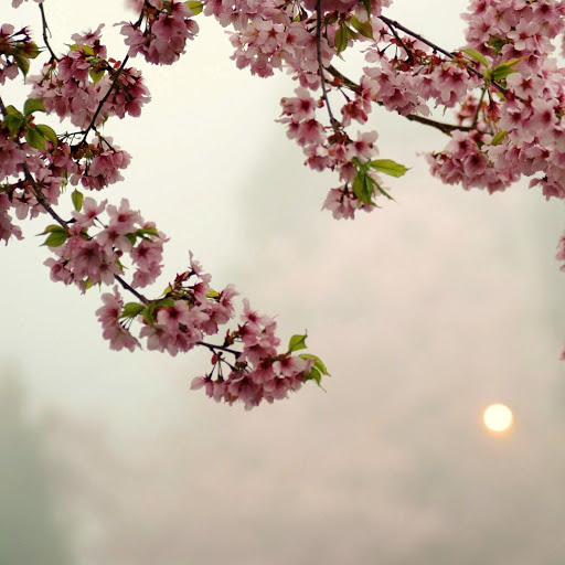 Hd-164551-ascw164551