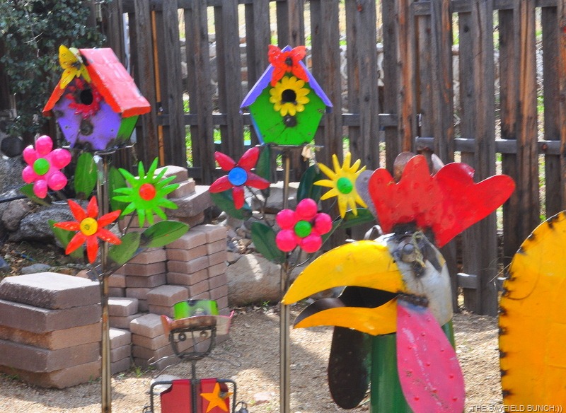 [DSC_0029%255B5%255D.jpg]