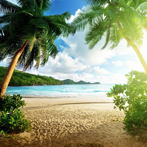 Hd-175101-ascw175101