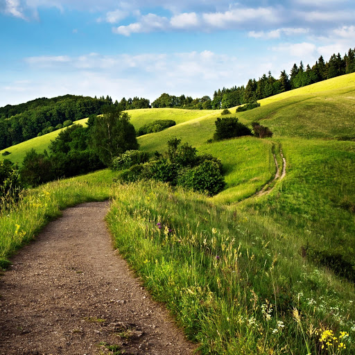 Hd-150791-ascw150791