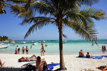akumal plaja testoase.jpg