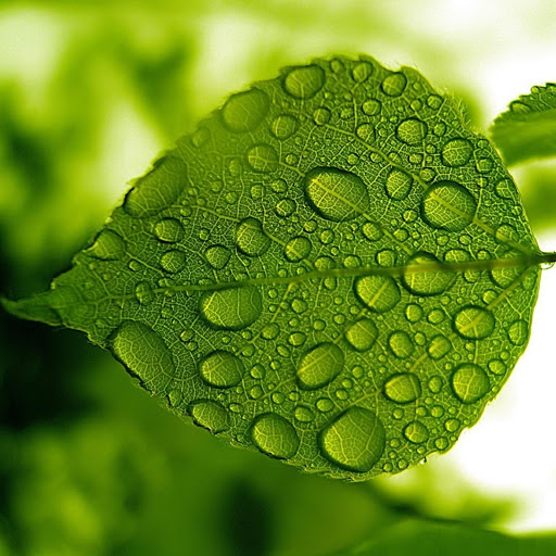 Hd-182770-ascw182770