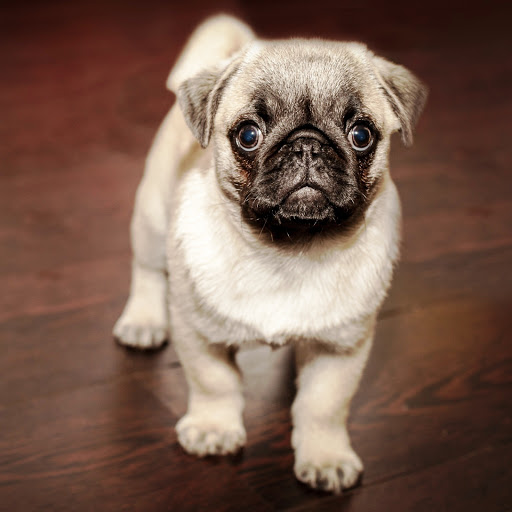 Hd-147112-ascw147112