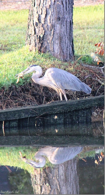 Heron2