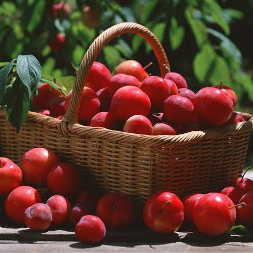 Hd-144185-ascw144185