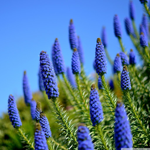 Hd-131541-ascw131541