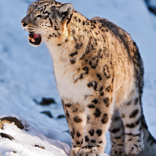 Hd-180566-ascw180566