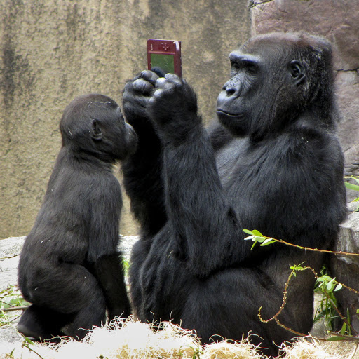 Hd-160644-ascw160644