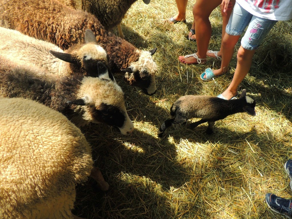 [DSCN0168%255B3%255D.jpg]