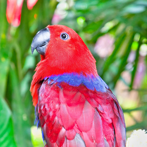 Hd-164670-ascw164670