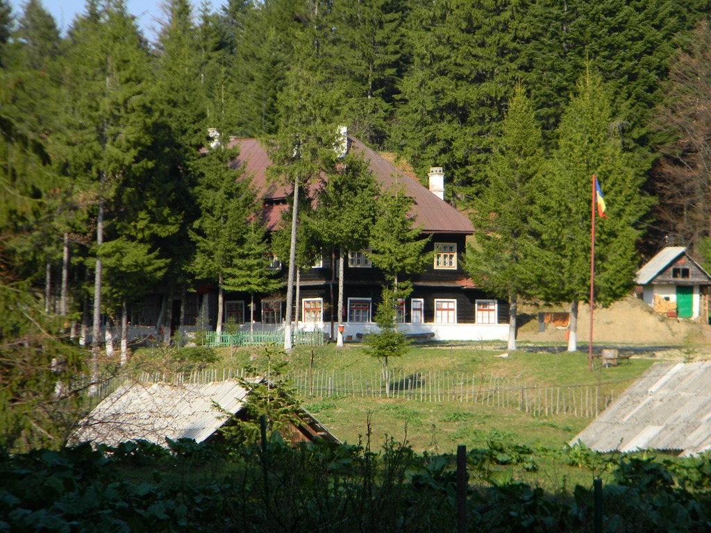 [DSCN80643.jpg]