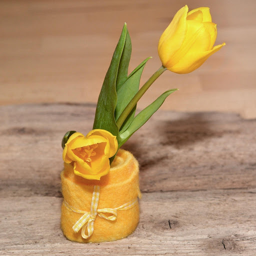 Hd-186281-ascw186281