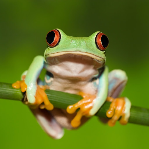 Hd-190479-ascw190479