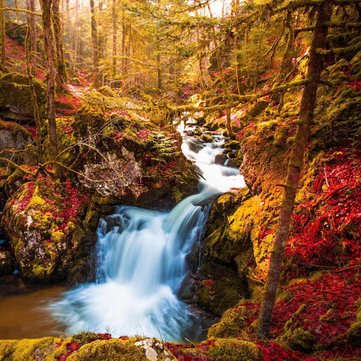 Hd-151910-ascw151910