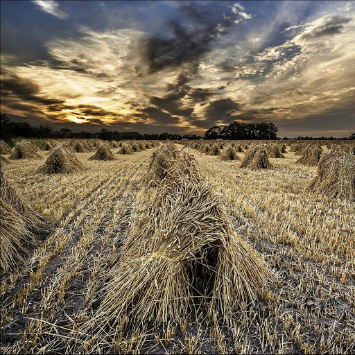 Hd-142041-ascw142041