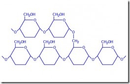 Difference between Oligosaccharides and Polysaccharides