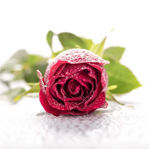 Hd-167034-ascw167034