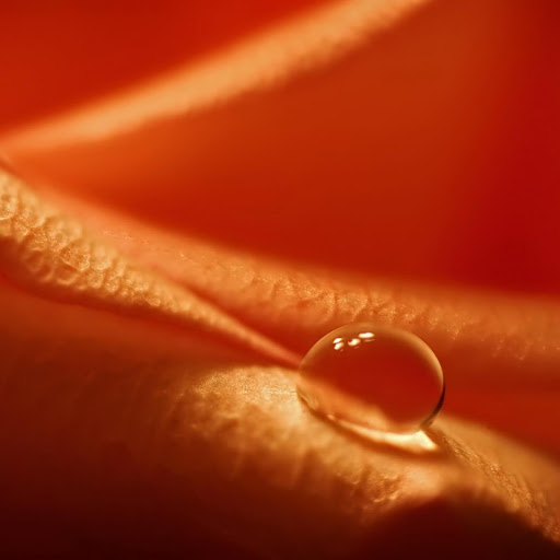 Hd-143385-ascw143385