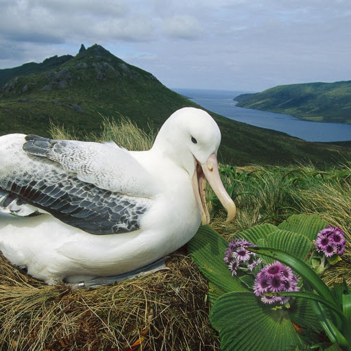 Hd-143913-ascw143913