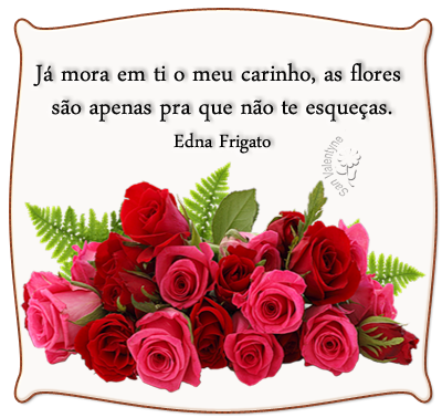 sanflor.png
