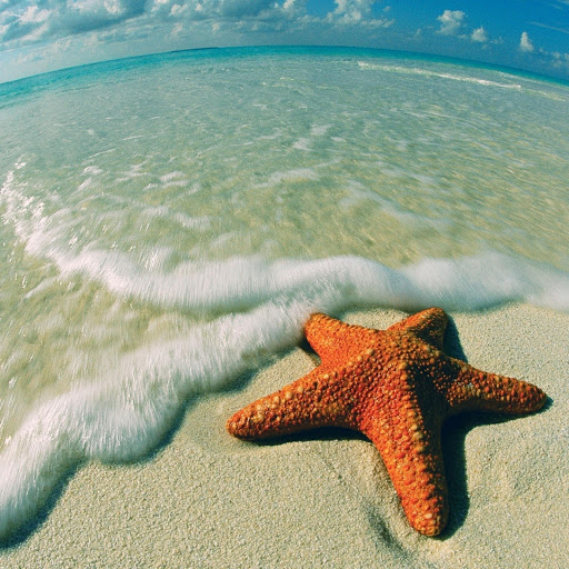 Hd-133773-ascw133773