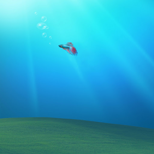 Hd-159094-ascw159094