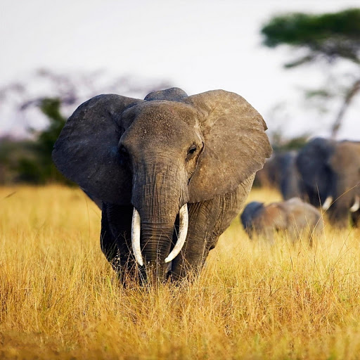 Hd-156168-ascw156168