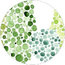 Kari Fast profile picture