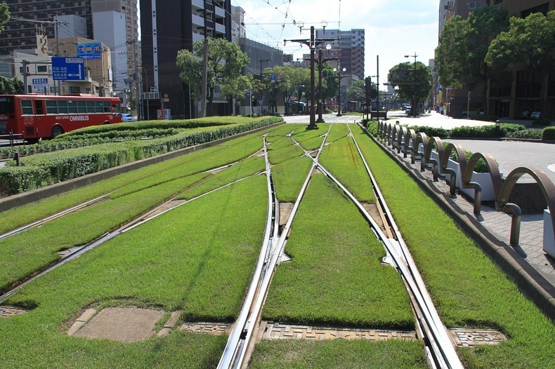 grass-tram-tracks-8