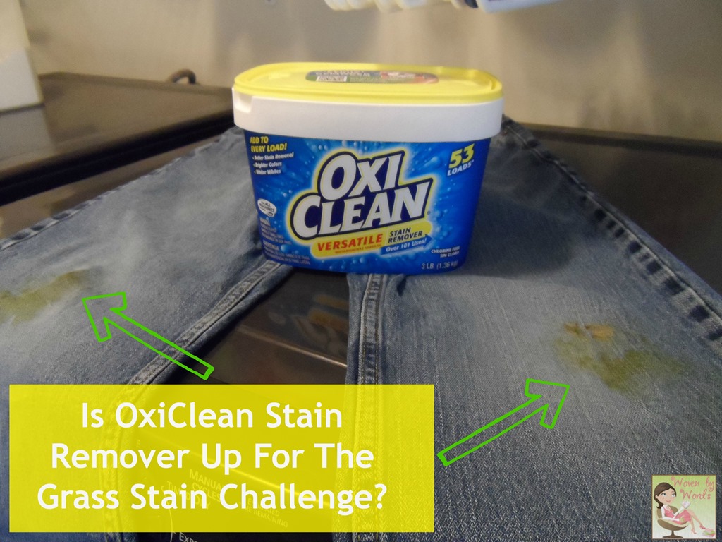 [OxiClean-Challenge6.jpg]